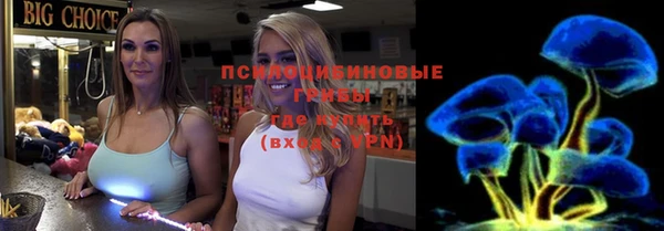 винт Алзамай
