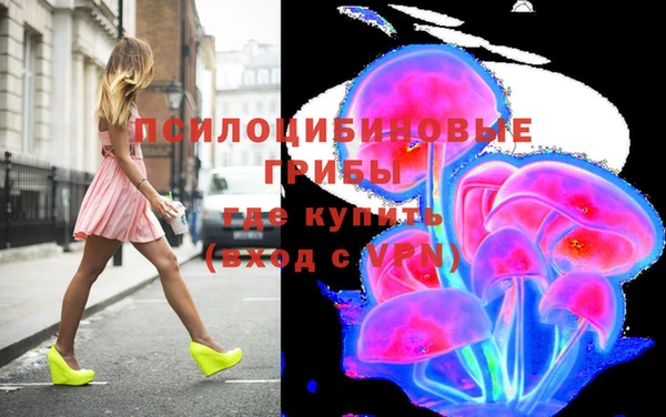 винт Алзамай