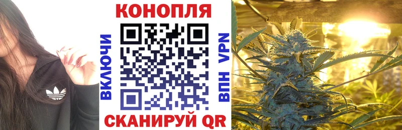 купить закладку  гидра сайт  Конопля семена  Краснослободск 